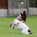 DSL V PRESTWICH 18-06-2022