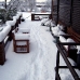 IMG_0319