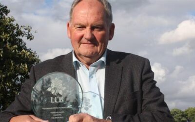 HOW I CONQUERED THE ‘NERVOUS 90S’