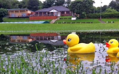 Start of junior cricket training postponed