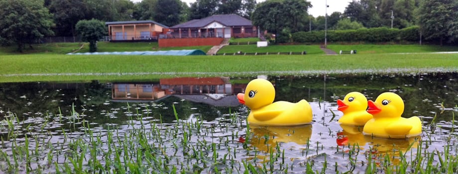 Start of junior cricket training postponed