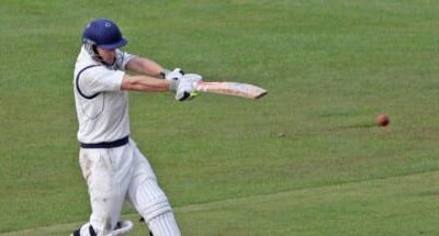 GREEN JOY BUT CUP BLUES