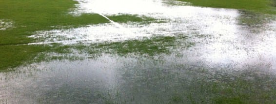 PFC JUNIORS – WEEK 8 ROUND-UP