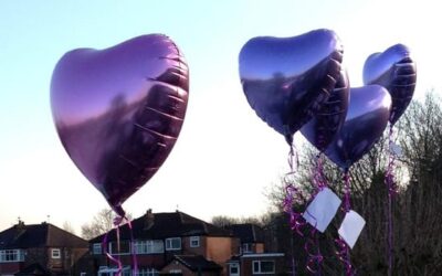 VIV MICHAELOVITZ – THANK YOU