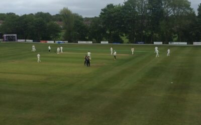 3RD TEAM’S EGG-CELLENT WIN STEALS THE SHOW