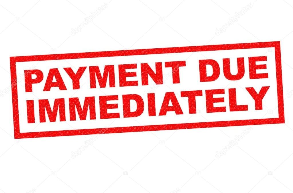 MEMBERSHIP SUBSCRIPTIONS ARE DUE NOW