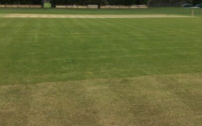 TELL US ABOUT YOUR CRICKETING LIFE, LOVES AND LAUGHS