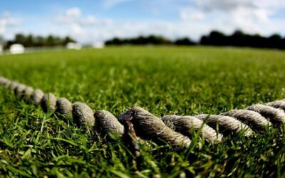 LATEST UPDATE FROM ECB