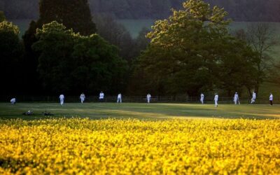 GO-AHEAD GIVEN FOR RECREATIONAL CRICKET FROM JULY 11