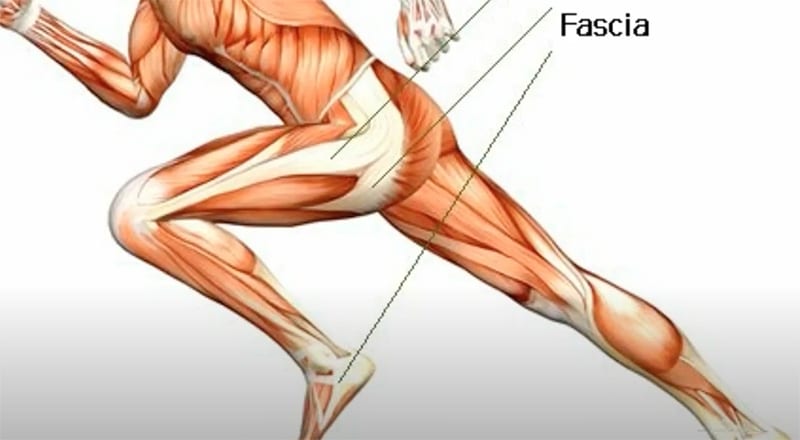 MANAGEMENT OF LOWER LIMB PAIN