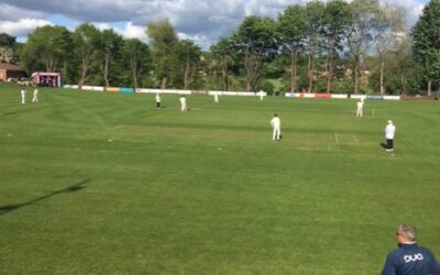 League cricket at home this weekend